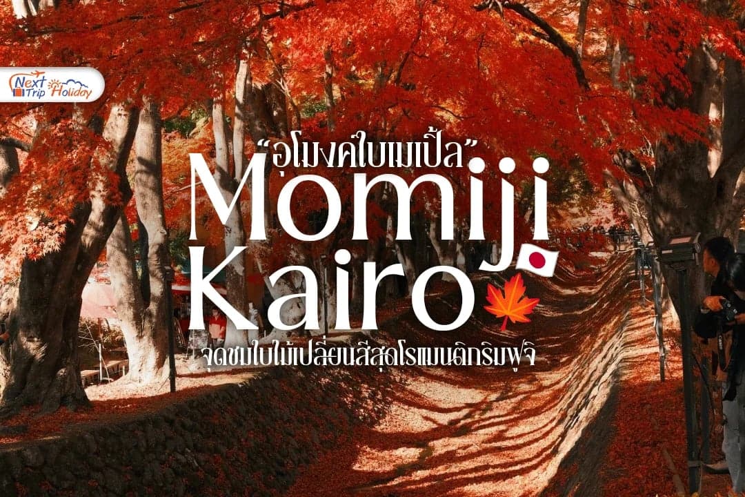 อุโมงค์ใบเมเปิ้ล โมมิจิไคโร (Momiji Kairo) จุดชมใบไม้เปลี่ยนสีสุดโรแมนติกริมฟูจิ