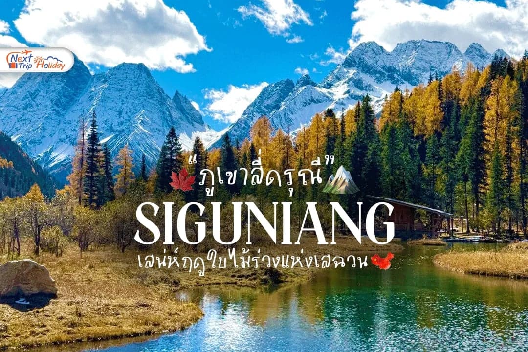 ภูเขาสี่ดรุณี ใบไม้เปลี่ยนสี เสน่ห์ฤดูใบไม้ร่วงแห่งเสฉวน