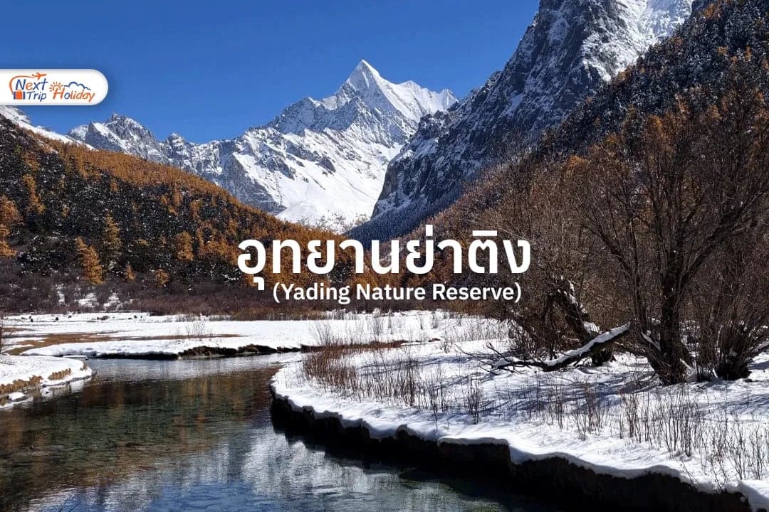 อุทยานย่าติง สวรรค์บนดินแห่งเสฉวน ที่ธรรมชาติสวยเหมือนหลุดเข้าไปในภาพวาด