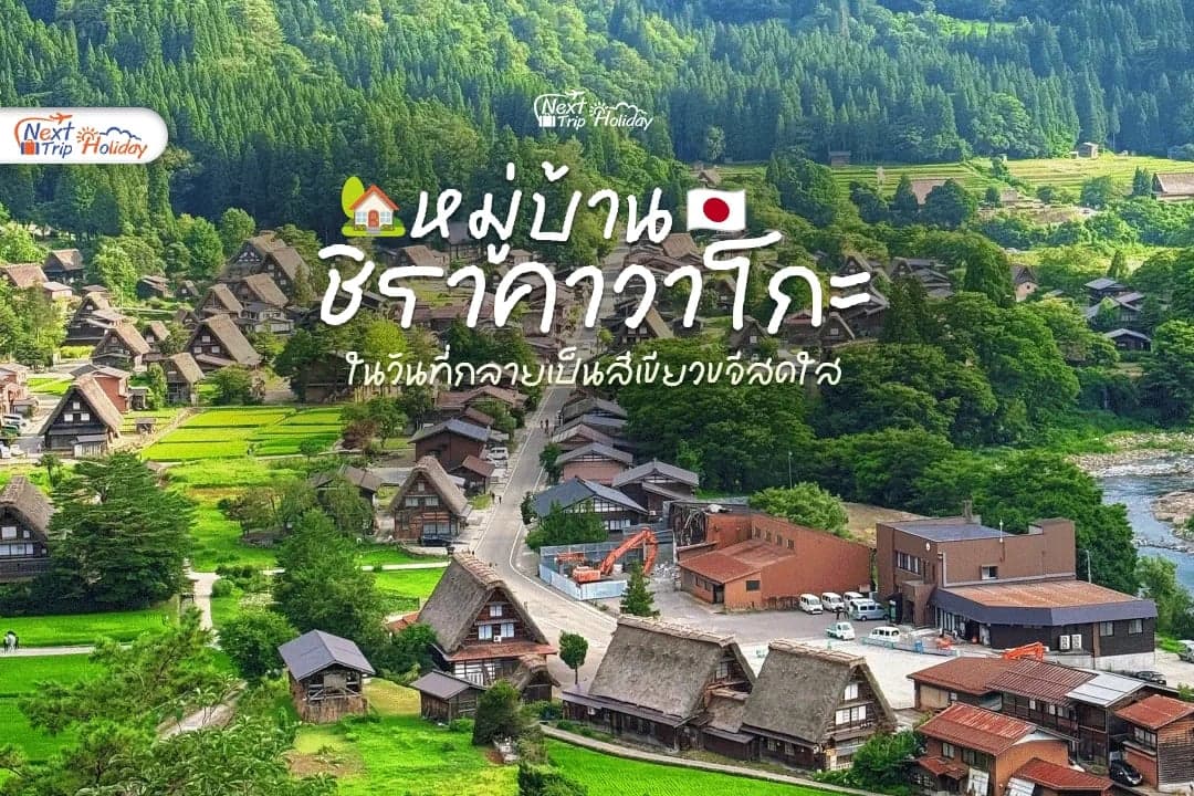 ลบภาพจำฤดูหนาว! ชวนเที่ยว "ชิราคาวาโกะ" ในวันที่กลายเป็นสีเขียวขจี สดใส ฟิน ไม่แพ้ช่วงหิมะตก