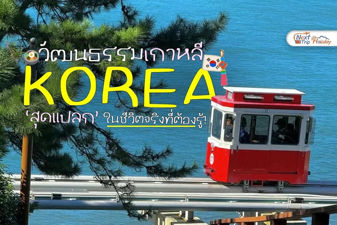 ซีรีส์ไม่ได้หลอกเรา! 6 วัฒนธรรมเกาหลีสุดแปลกในชีวิตจริงที่ต้องรู้