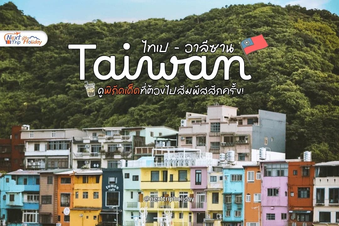 เที่ยวไต้หวัน 2026! ไทเป อาลีซาน 5 วัน 4 คืน เช็กอินป่าสน & เมืองสุดล้ำ