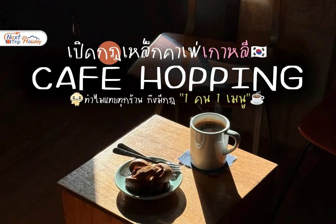 Cafe Hopping เกาหลี 2026! เปิดกฎเหล็กคาเฟ่ เที่ยวฟินไม่โดนมองแรง