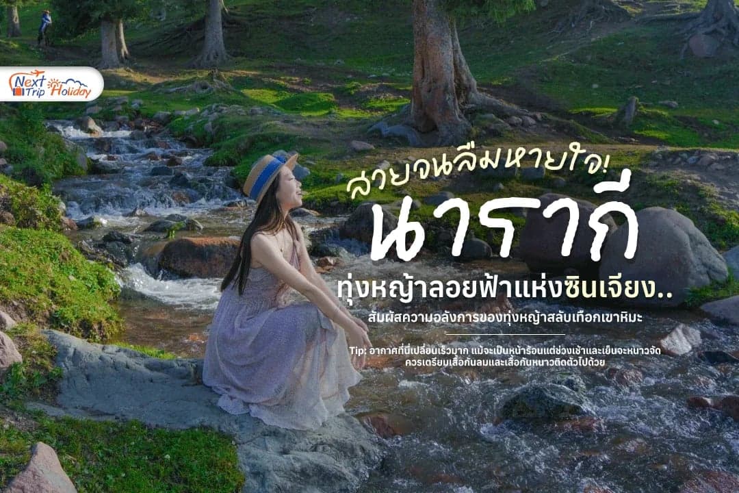 เที่ยวนาราถี Nalati Grassland สัมผัสทุ่งหญ้าสลับเทือกเขาหิมะซินเจียง