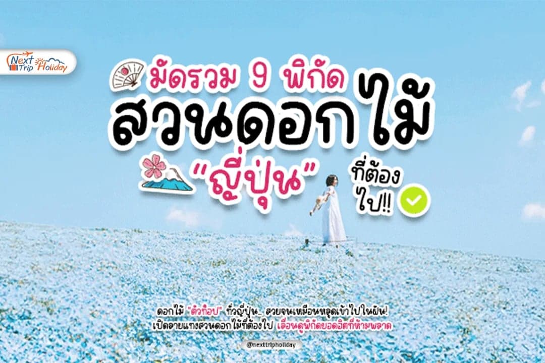 9 พิกัดสวนดอกไม้ตัวท็อปทั่วญี่ปุ่น ปักหมุดเช็กอินจุดถ่ายรูปสวย!