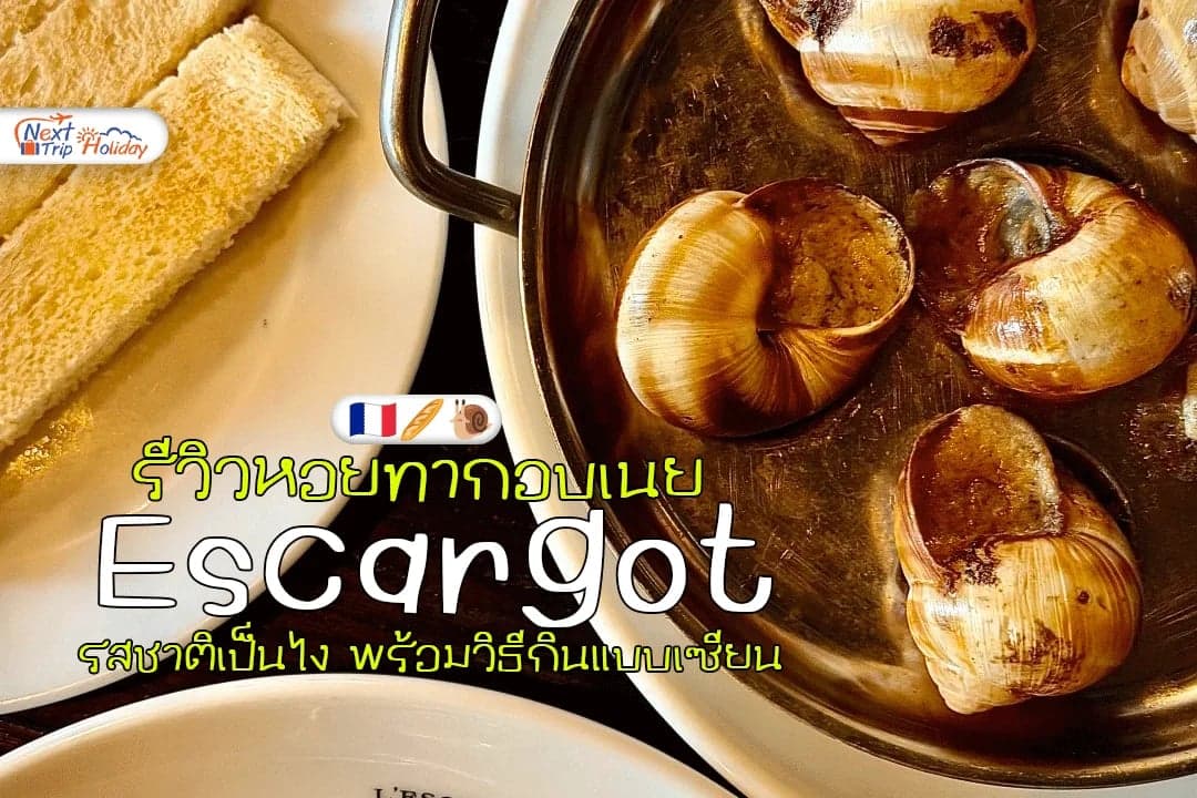 รีวิว Escargot หอยทากอบเนยฝรั่งเศส รสชาติเป็นไง พร้อมวิธีกินแบบเซียน