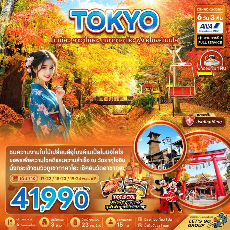 ทัวร์โตเกียว คาวาโกเอะ ภูเขาทาคาโอะ ฟูจิ อุโมงค์เมเปิ้ล (เที่ยวอิสระ 1 วัน)