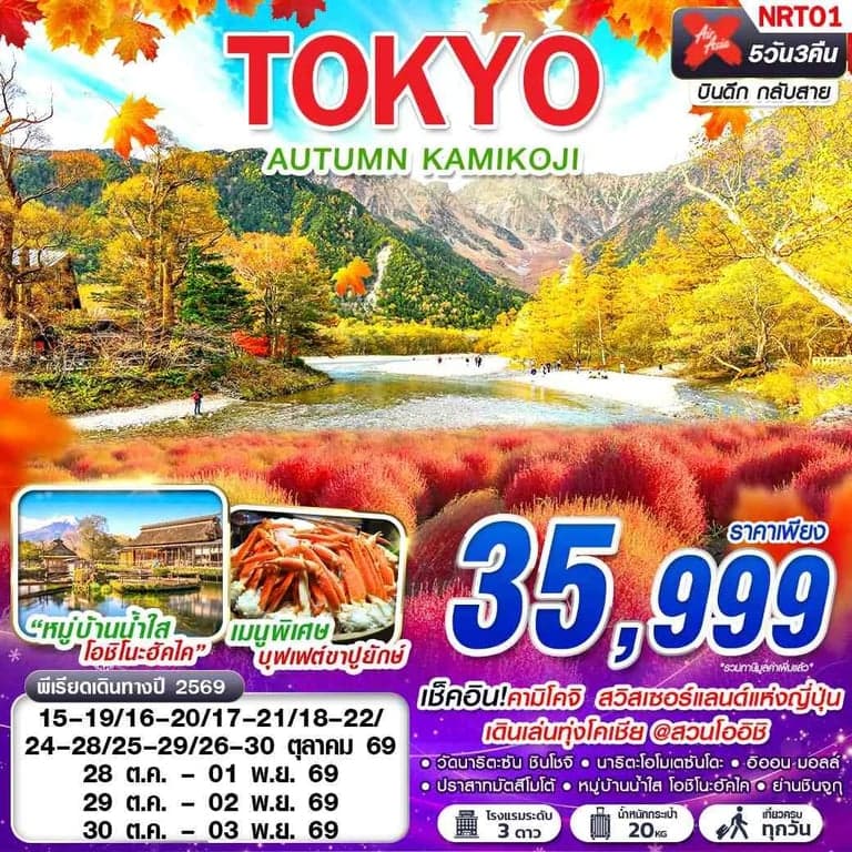 ทัวร์ญี่ปุ่น  TOKYO AUTUMN KAMIKOJI (เที่ยวเต็ม)