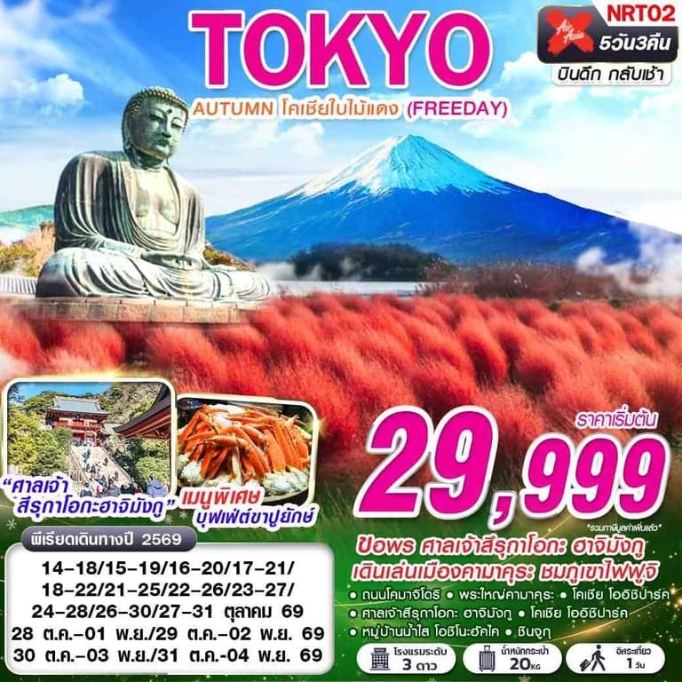 ทัวร์ญี่ปุ่น TOKYO AUTUMN โคเชียใบไม้แดง (ฟรีเดย์)