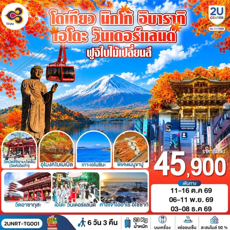 ทัวร์โตเกียว นิกโก้ เอโดะ วันเดอร์แลนด์ ฟูจิใบไม้เปลี่ยนสี 6วัน 3คืน โดยสายการบินไทย (TG)
