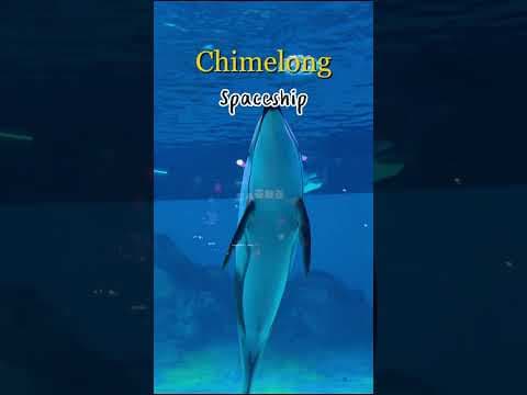 Next Trip พาเที่ยว มาเก๊า จูไห่✨ Chimelong Ocean Kingdom & Spaceship 🇨🇳